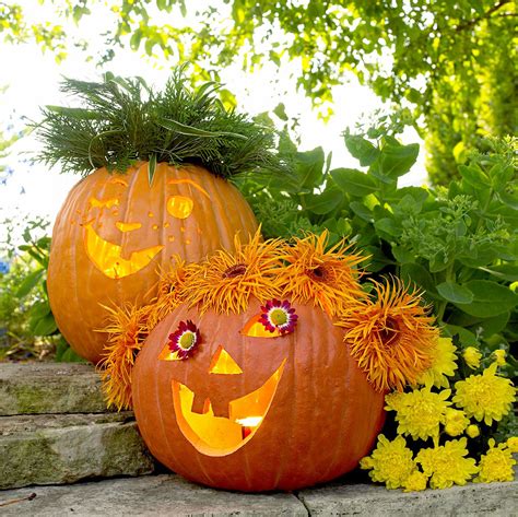 39 Easy Pumpkin Carving Ideas for the Best Jack-o'-Lanterns