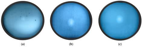 Numerical Method for Internal Structure and Surface Evaluation in Coatings