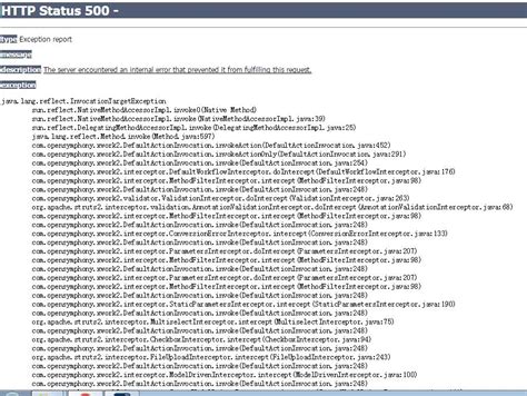 Java.lang.reflect.invocationtargetexception 的图像结果