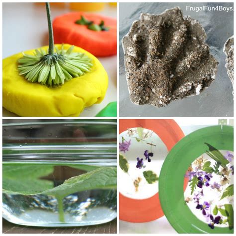 Summer Science Experiments 的图像结果