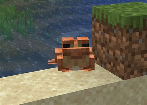Image result for Minecraft Frogs Animation