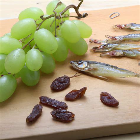 Balsamic Vinegar vs Worcestershire Sauce | Acidity Meets Savory