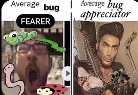 Pin de Jhgraves en BUGS | Imágenes graciosas, Imágenes divertidas ...