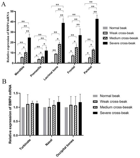 The Morphology of Cross-Beaks and BMP4 Gene Expression in Huiyang ...