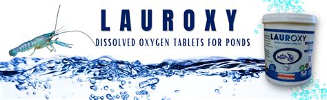 Buy Bio Pro LAUROXY Pond Dissolved Oxygen Tablets. Specially Formulated ...