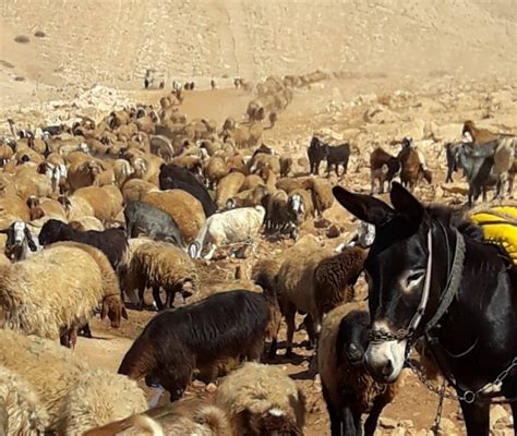 The Wire: The Wire News India, Latest News,News from India, Politics ...