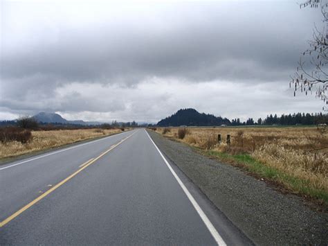 Fast Easy Science Projects 的图像结果