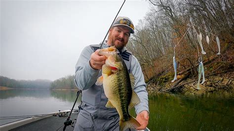 BUYER'S GUIDE: UNIQUE A–RIGS, ALABAMA RIGS, RIGGING TRICKS, AND GEAR! — Tactical Bassin' - Bass ...