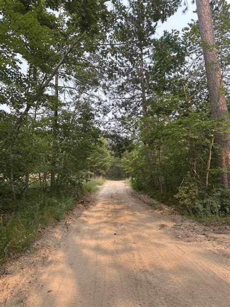 Image result for Spring Rod Gun