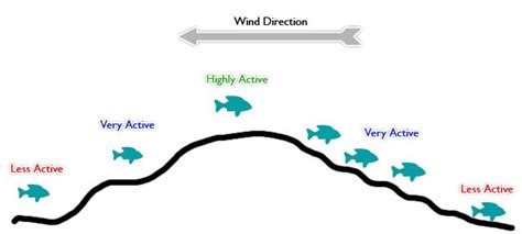 Image result for Wind Direction in Weather Report