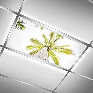 Palm Tree Sky Flexible Fluorescent Light Cover Films Skylight Ceiling ...