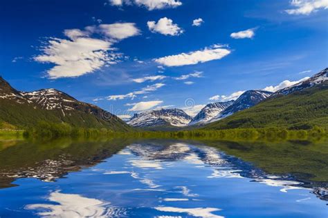 Image result for Water Reflection Spring