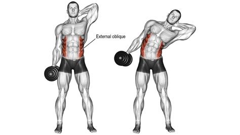 Standing Oblique Crunch: How To Do and Muscles Worked