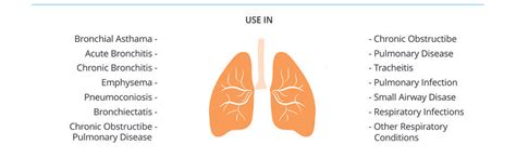 Healthgenie Compressor Nebulizer Complete Kit : Amazon.in: Health ...