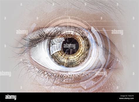 High-Tech Speticles 的图像结果