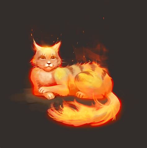 Image result for fire cat