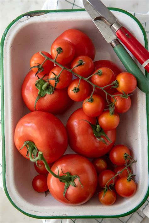 How to Store Tomatoes - The Harvest Kitchen
