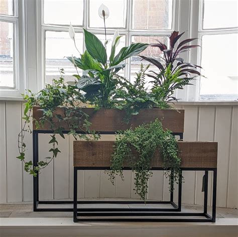 Floor Standing Firwood Rectangular Planters - two sizes | Indoor window ...