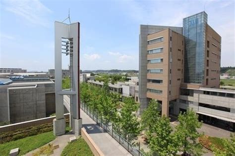 日本城西国际大学本、硕联合培养项目
