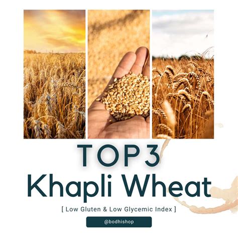 Best Khapli Wheat Atta in India - Top 3 With 1kg Prices (Emmer ...