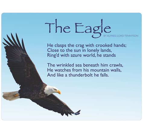 Set of 7 More Classical Poetry Signs