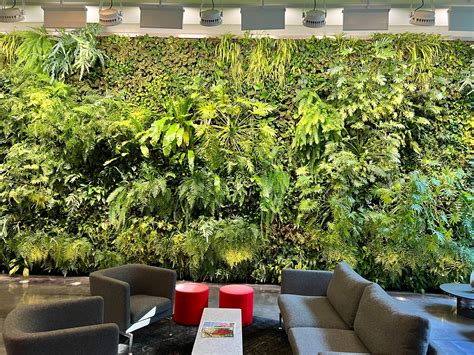 Vertical gardens: The future of Urban Green Spaces - Sempergreen USA