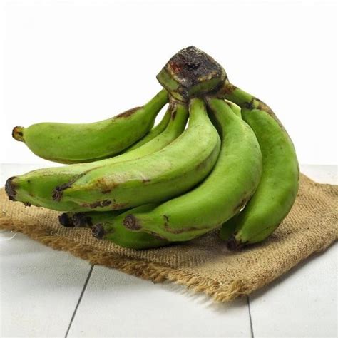 Shree Ganeshay Import Export - Fresh Green Guava Exporter and Supplier ...
