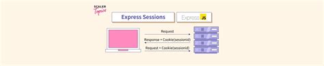 Express Session Tutorial 的图像结果