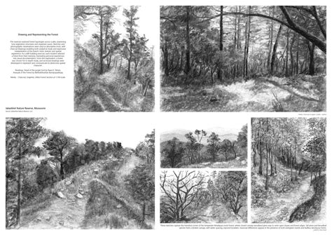 Reimaging Spaces Through Groves | CEPT - Portfolio