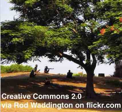 Image result for Lessons When Planting Trees