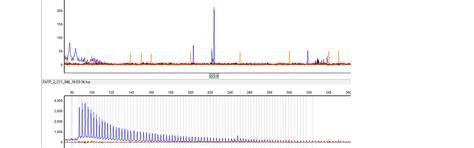 Home - INDIAN ACADEMY OF MEDICAL GENETICS(IAMG)