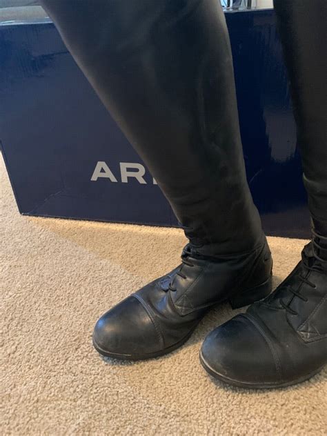 ariat riding boots leather horse riding boot tree her… - Gem