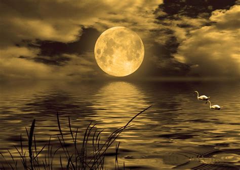 Image result for Beautiful Fall Moon