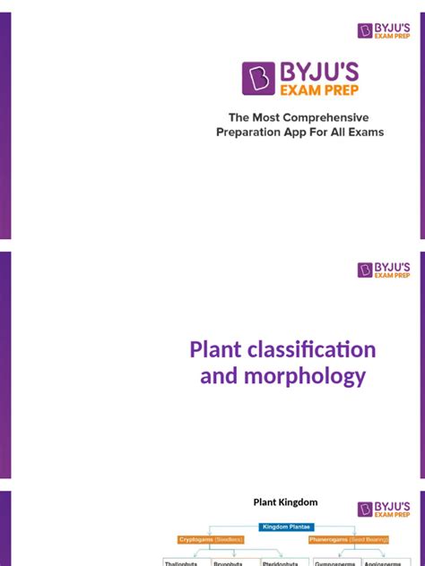 Image result for Plant Classification
