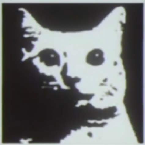 Image result for Roblox CATScript SS