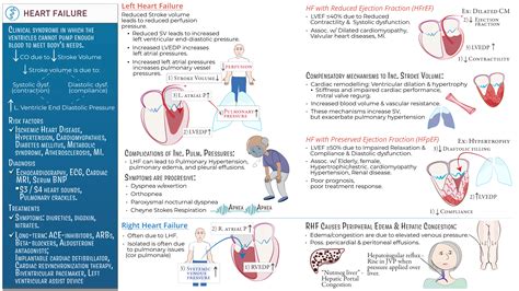 Cardiovascular System: Heart Failure | ditki medical & biological sciences