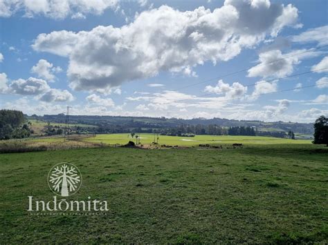 Venta De Terrenos En El Sur De Chile