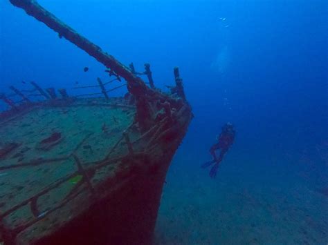 OCEAN DIVERS (2026) All You Need to Know BEFORE You Go (with Photos ...