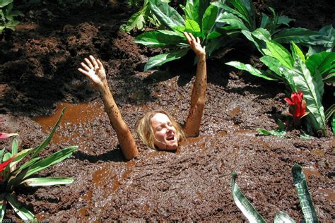 Quicksand Pool 的图像结果