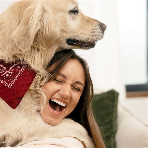 Golden Retrievers 'Falling in Love' With Human Newborn Sibling Couldn't ...