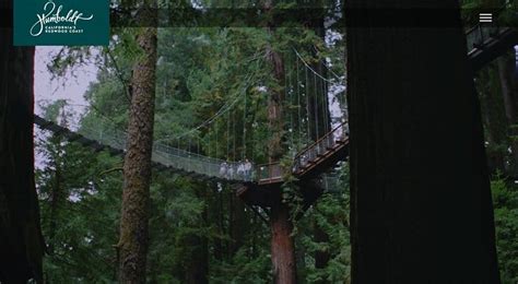 JavaScript Website 的图像结果