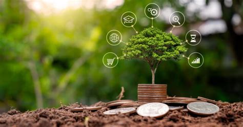 Challenges of Local Economic Development 的图像结果