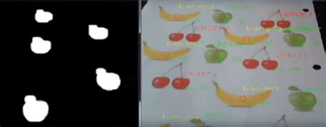 Image result for Tracking Algorithm Images Based On Fruits