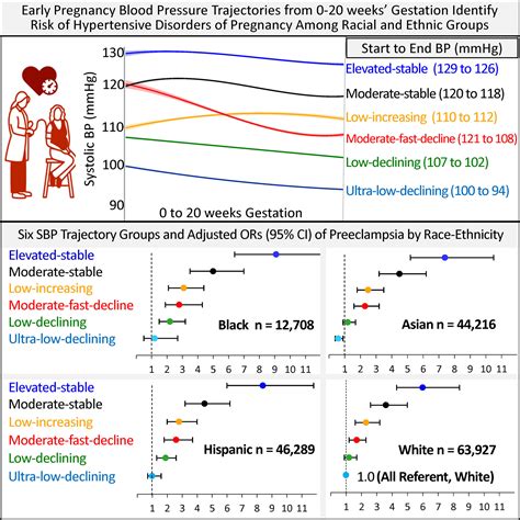 Early Pregnancy Blood Pressure Patterns Identify Risk of Hypertensive ...
