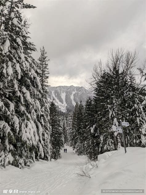 滑雪场 的图像结果