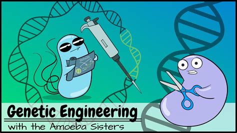 Genetic Engineering Kit 的图像结果