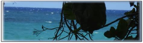 Asycuda World How to Use 的图像结果