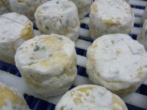 Can I eat the mould on my cheese? Mould on Cheese – your questions answered. - The Courtyard Dairy