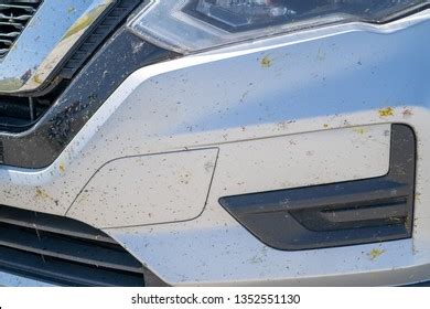 Image result for Bug Splat Fix