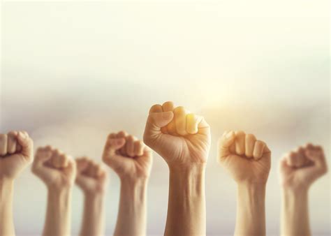 NGOINFO.in – the hub for helping people